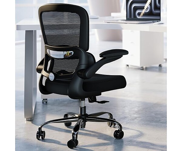 TRALT Office Chair, Ergonomic Desk Chair with Adjustable Lumbar Support