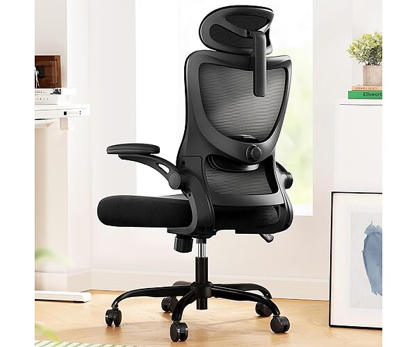 Marsail Ergonomic Office Chair, High Back Mesh Desk Chair with Adjustable Lumbar Support