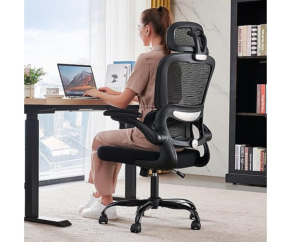 TRALT Ergonomic Office Chair with Lumbar Support, Black